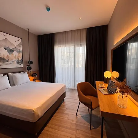 Hotel Park Dedeman