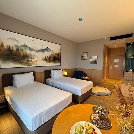 Park Dedeman Konya Otel