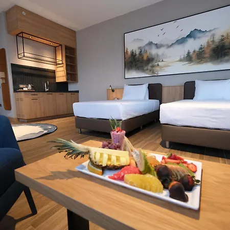 Otel Park Dedeman Konya Eskiomerler